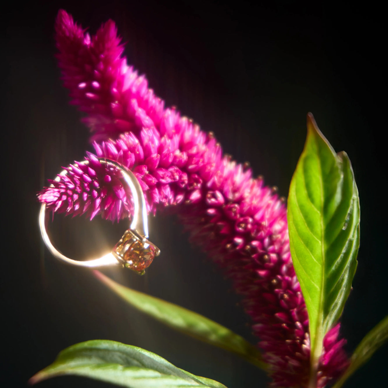 18K Gold Ring – Spessartine and Yellow Sapphire